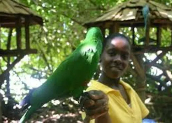Jus4u-apt-3 The Away From Ocho Rios